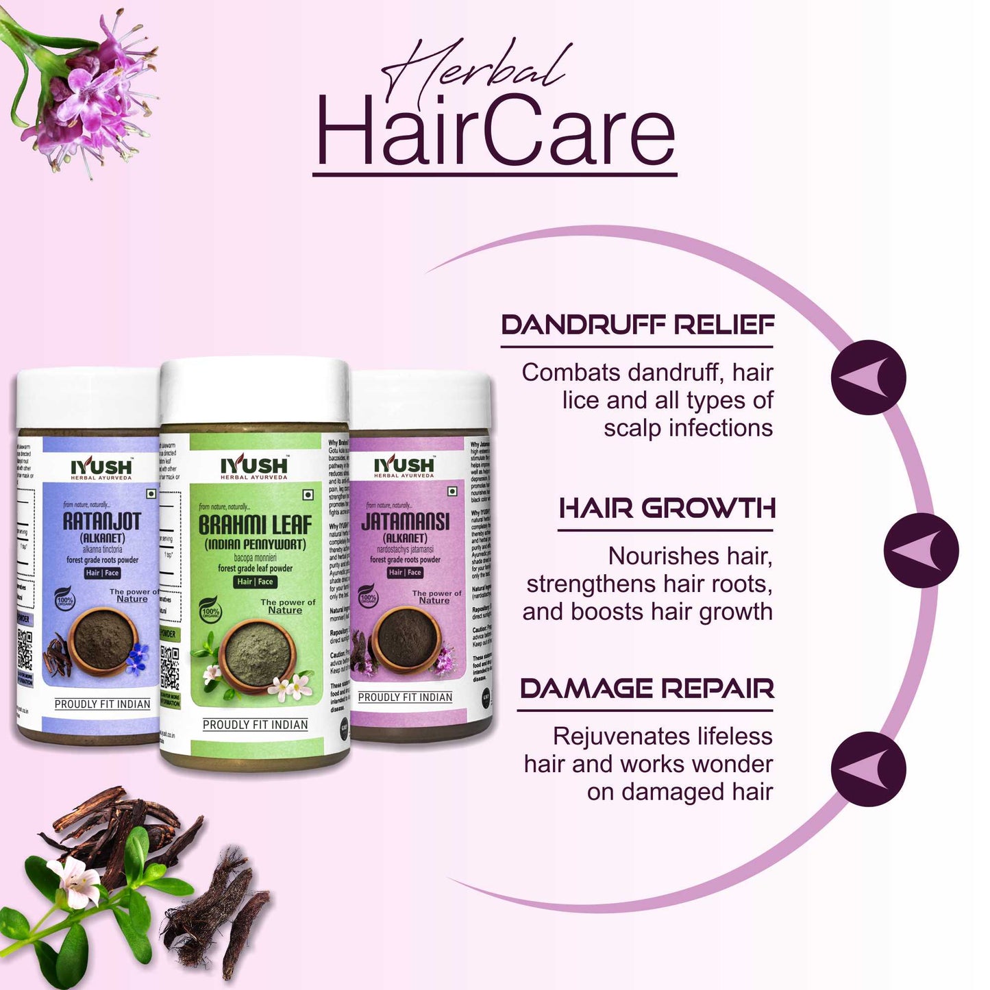 Premium Brahmi, Jatamansi and Ratanjot Powder for Holistic Hair and Skin Wellness – Pack of 3, 100gm Each