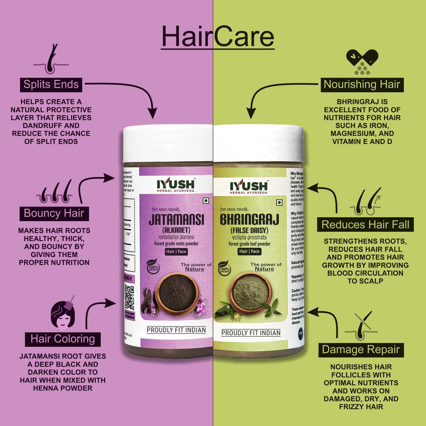 Premium Jatamansi and Bhringraj Powder for Holistic Hair and Skin Wellness – Pack of 2, 100gm Each