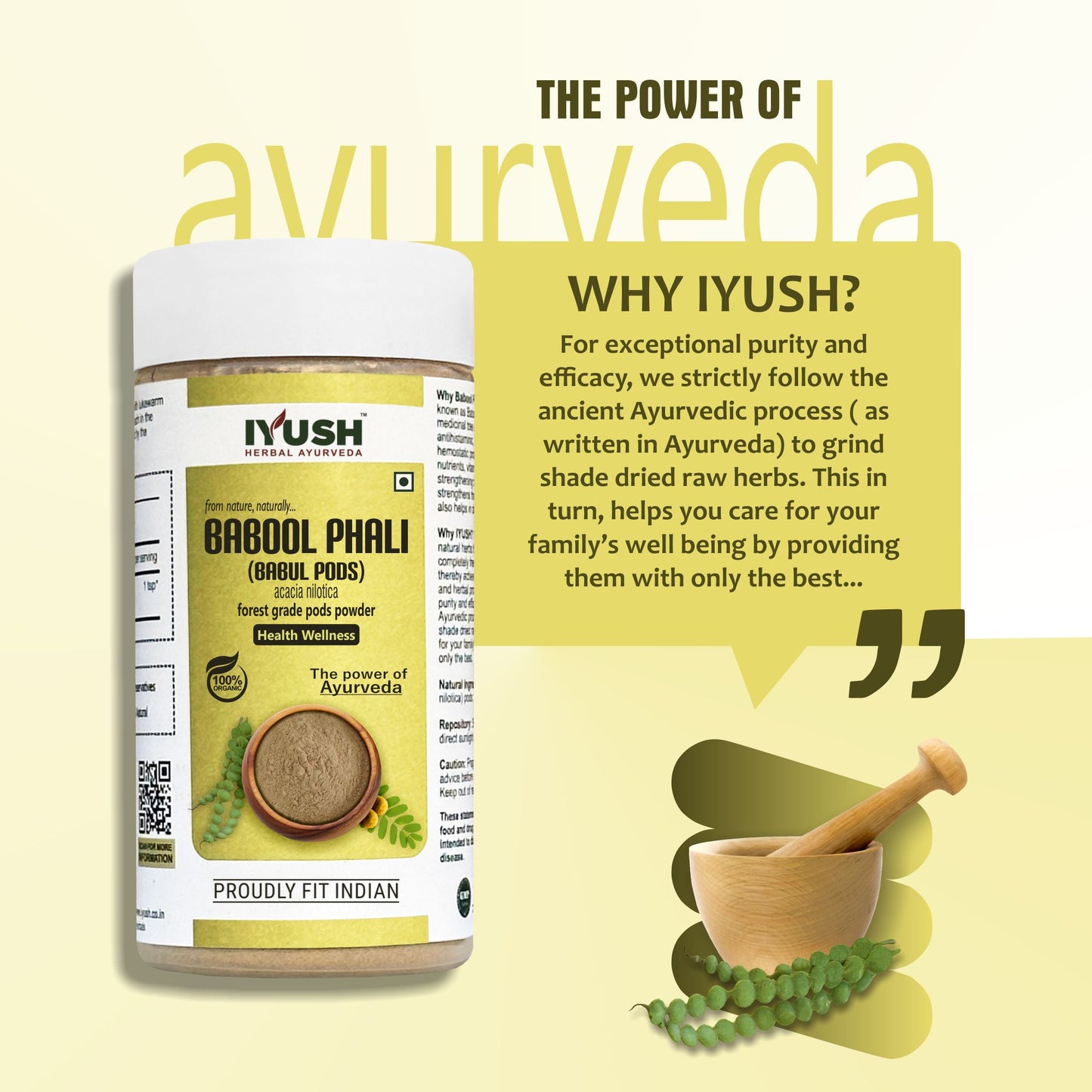 Pure Babool Phali Powder