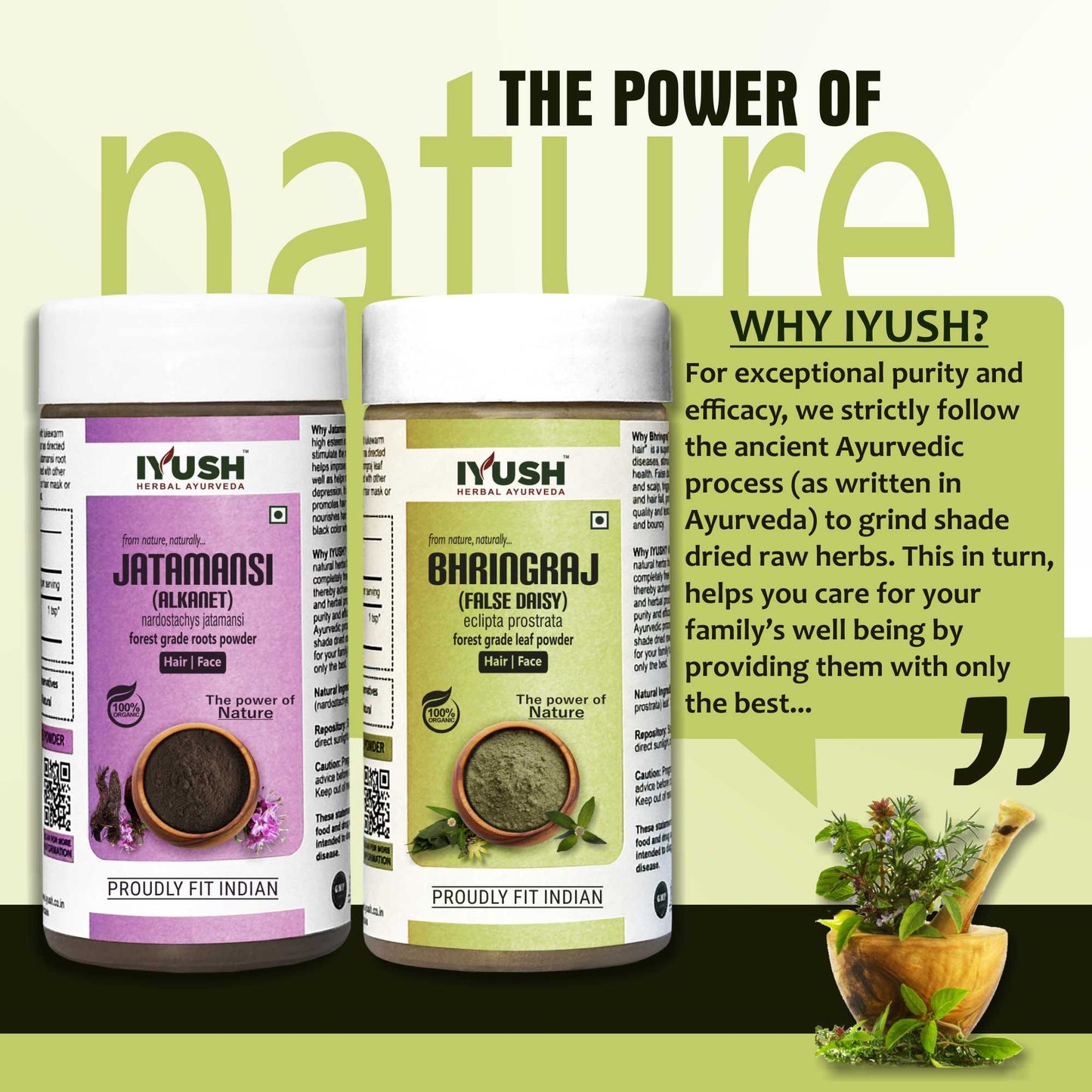 Premium Jatamansi and Bhringraj Powder for Holistic Hair and Skin Wellness – Pack of 2, 100gm Each