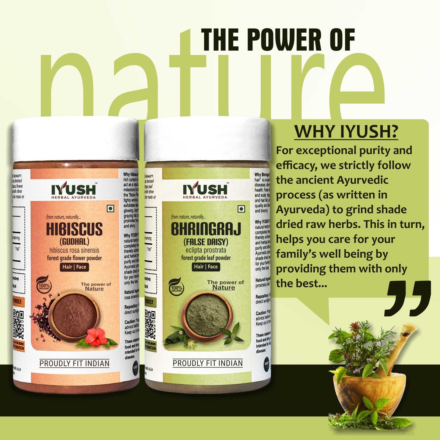 Premium Bhringraj and Hibiscus Powder for Holistic Hair and Skin Wellness – Pack of 2, 100gm Each