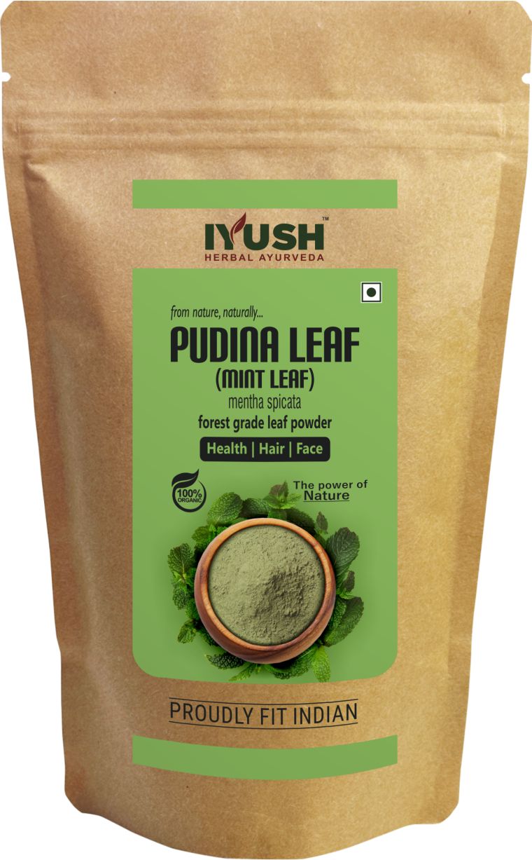 Pure Pudina Leaf Powder