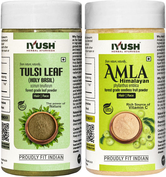 Premium Himalayan Amla Fruit and Tulsi Leaf Powder for Holistic Hair and Skin Wellness – Pack of 2, 100gm Each