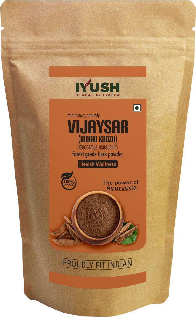 Pure Vijaysar Bark Powder