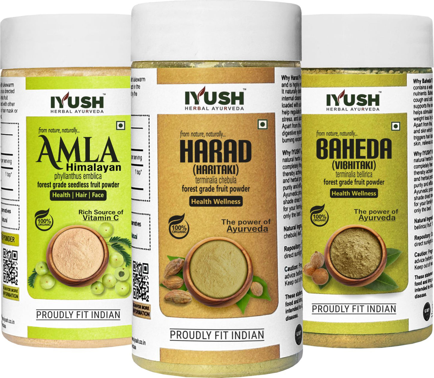 Himalayan Amla Fruit with Baheda and Harad Fruit Powder for Holistic Health Wellness - Pack of 3, 100gm Each