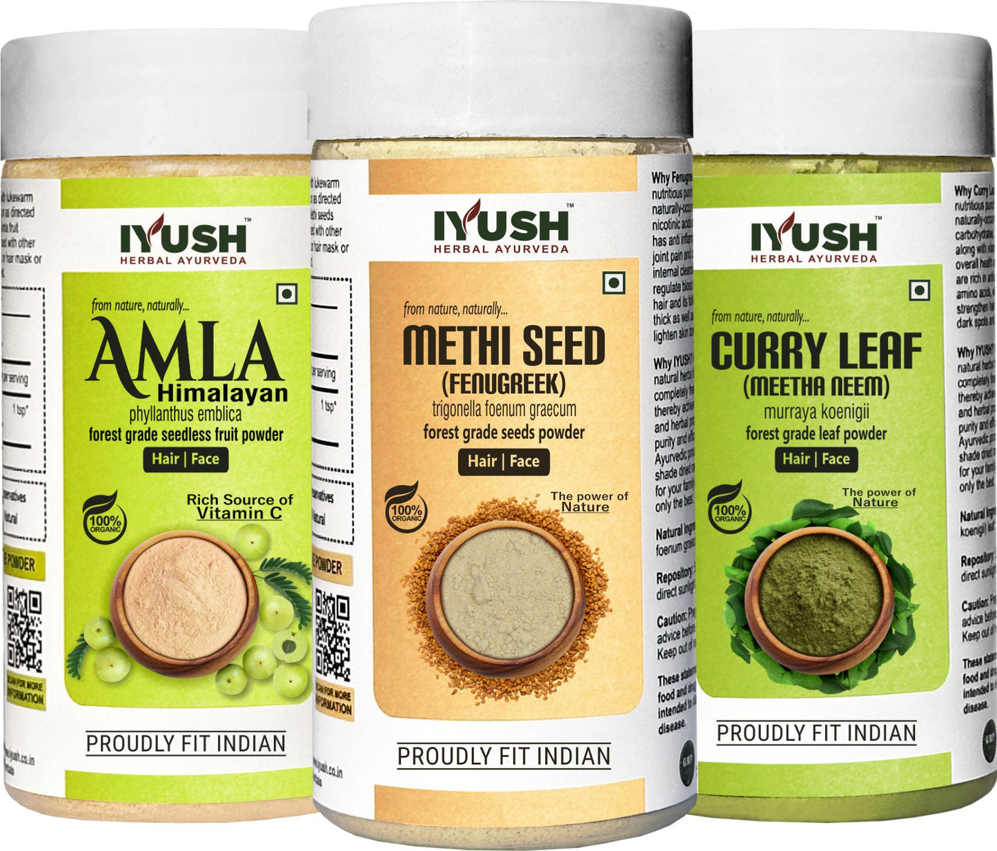 Himalayan Amla Fruit, Curry Leaf and Methi Seeds Powder for Holistic Hair and Skin Wellness – Pack of 3, 100gm Each