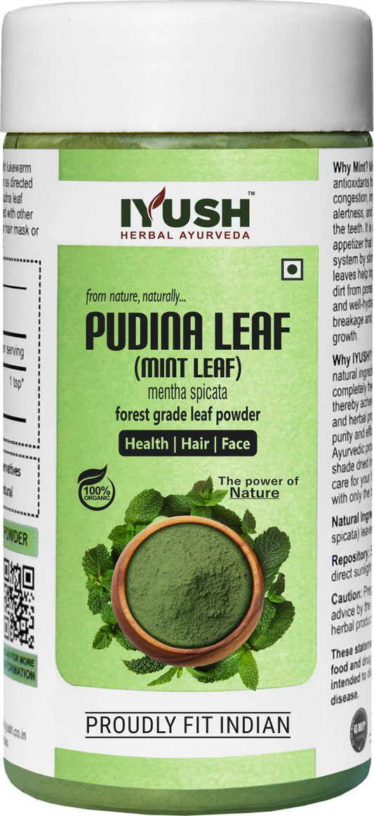 Pure Pudina Leaf Powder