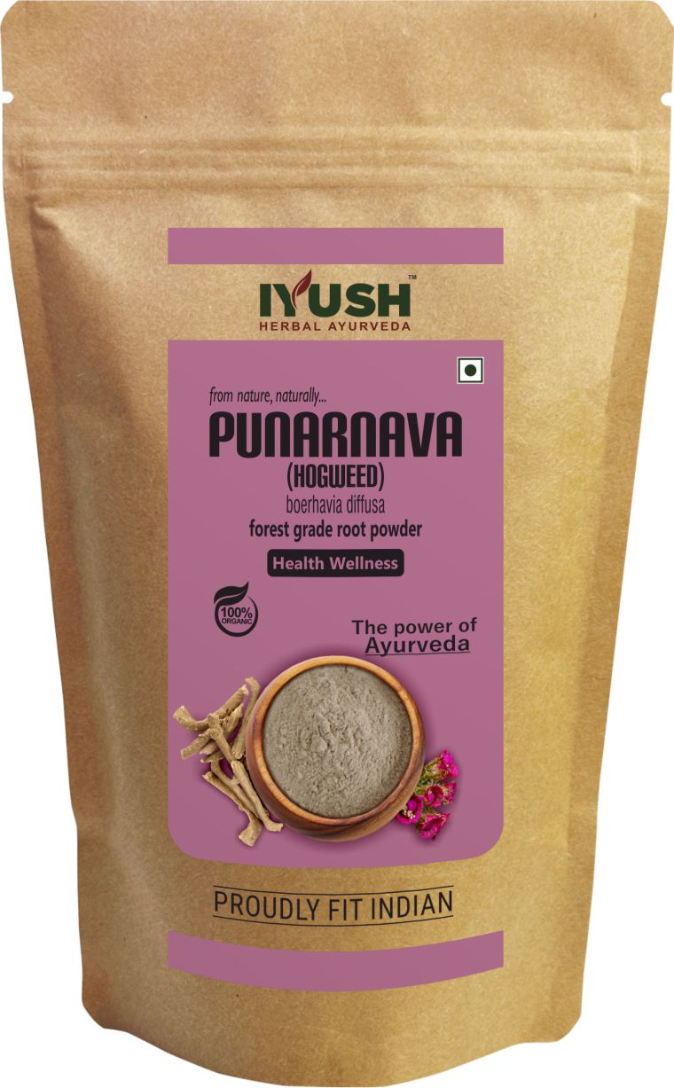 Pure Punarnava Root Powder