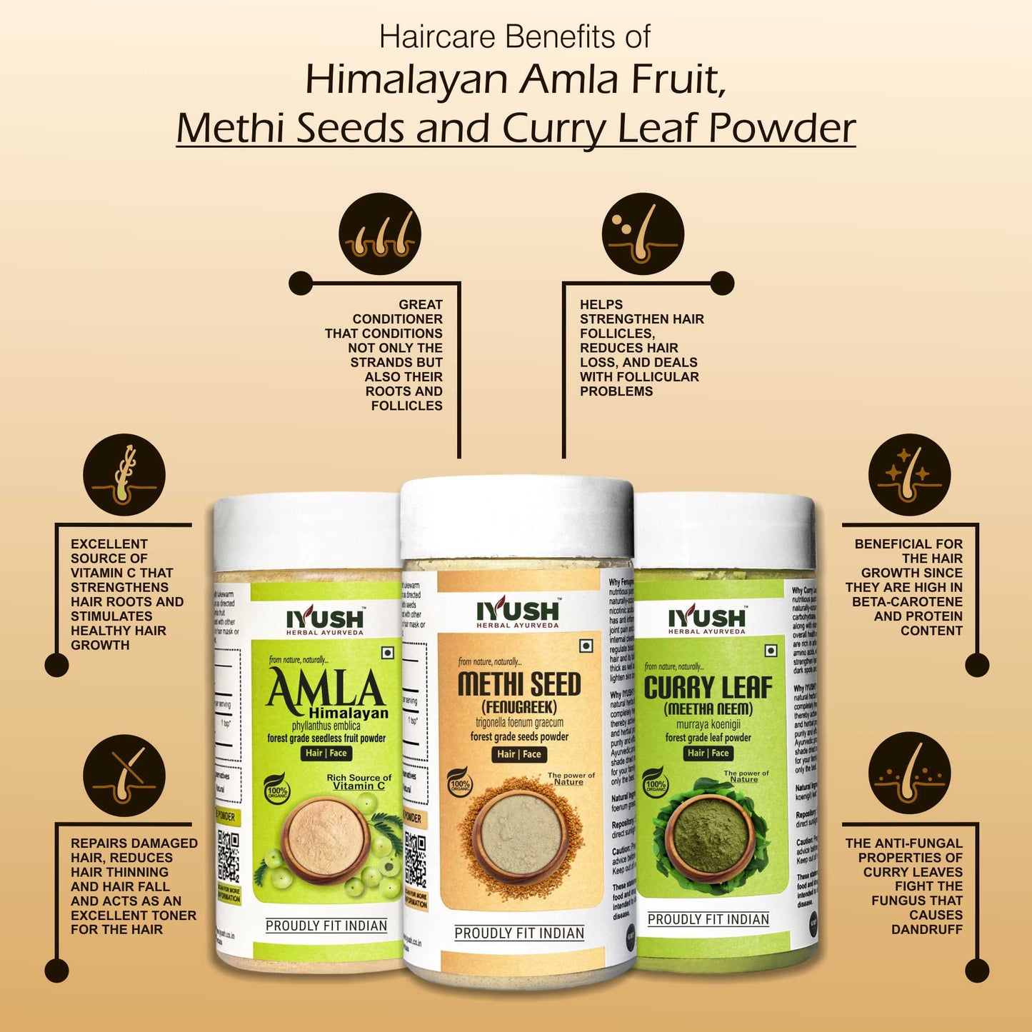 Himalayan Amla Fruit, Curry Leaf and Methi Seeds Powder for Holistic Hair and Skin Wellness – Pack of 3, 100gm Each