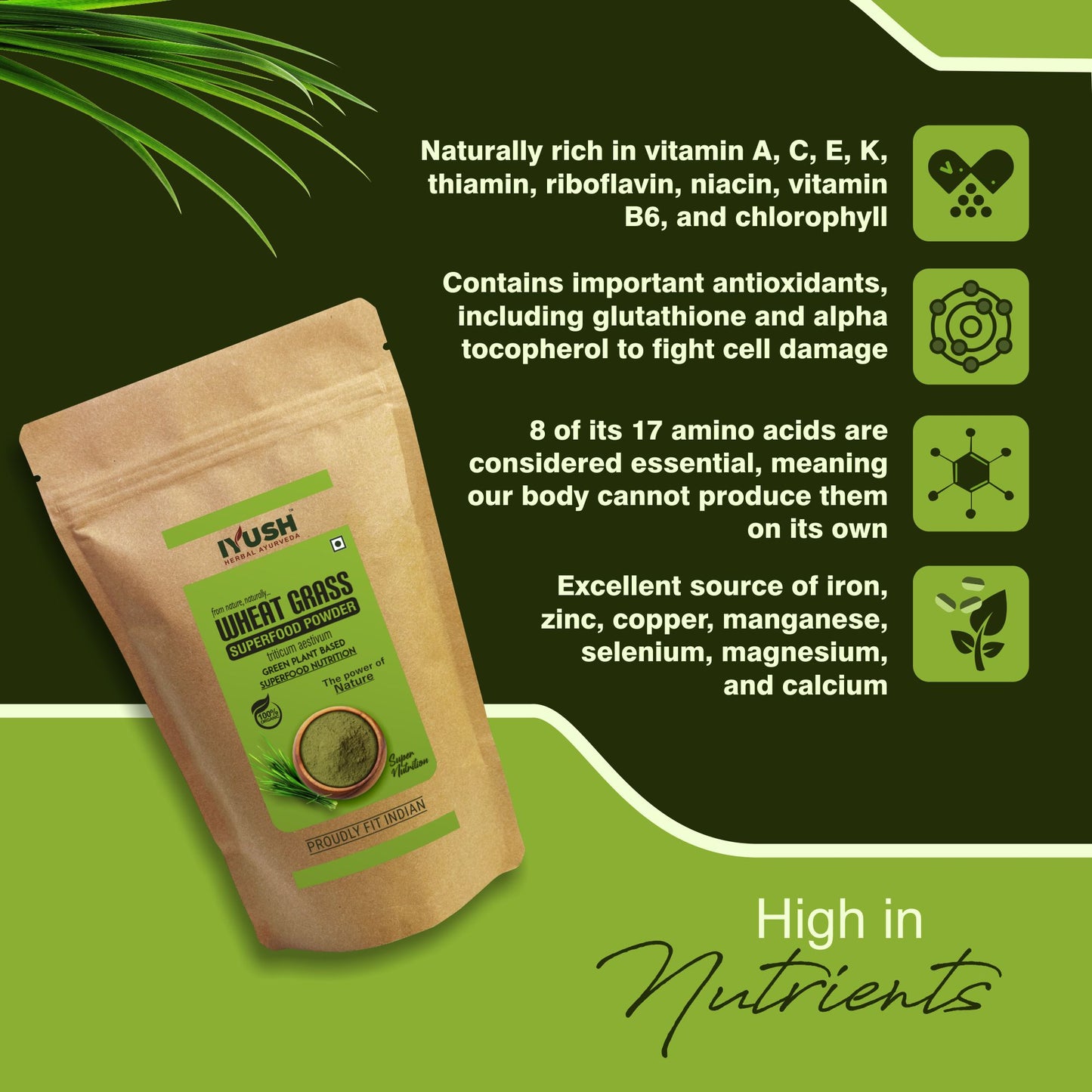 Premium Wheatgrass Superfood Powder