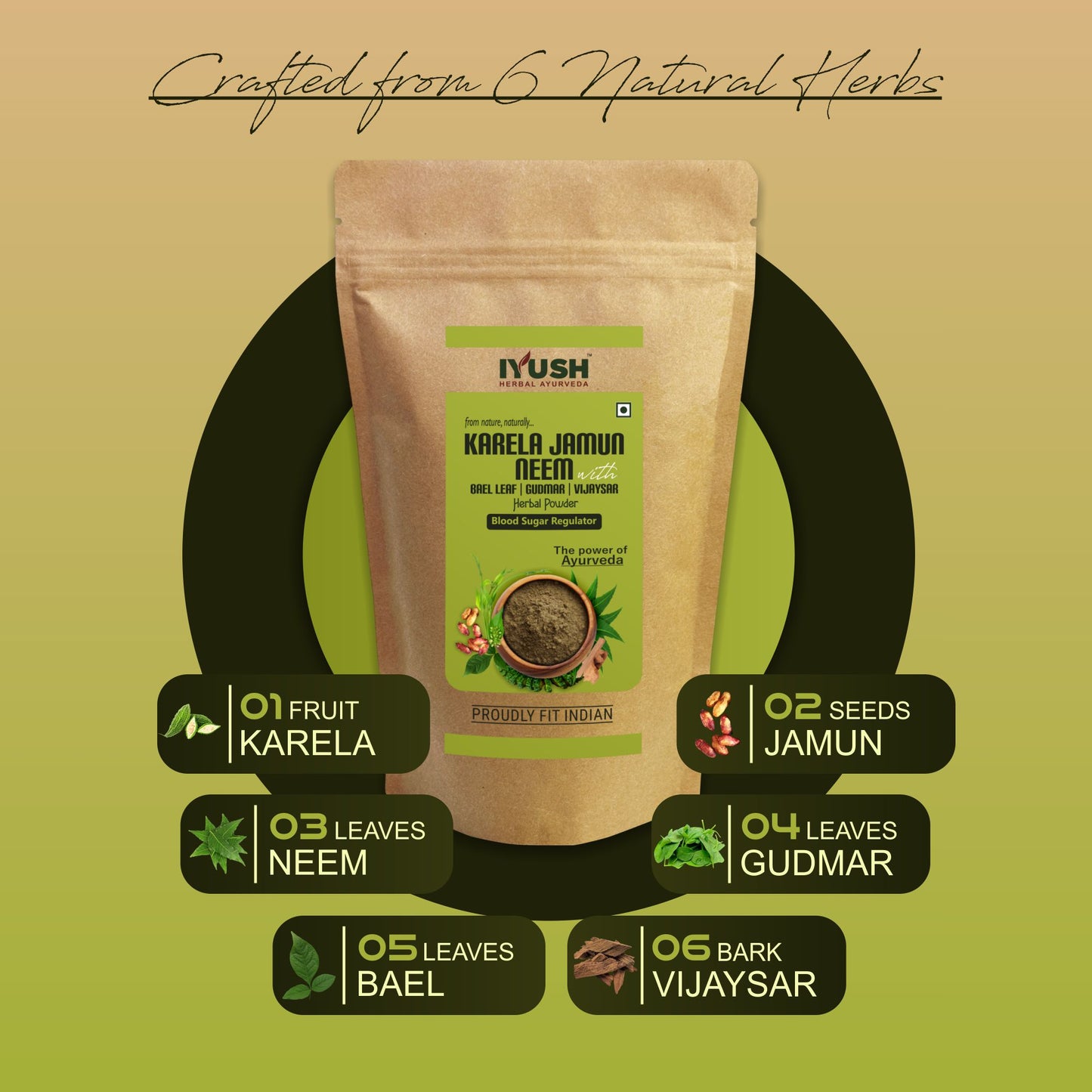 Premium Karela Jamun Neem Mix Powder