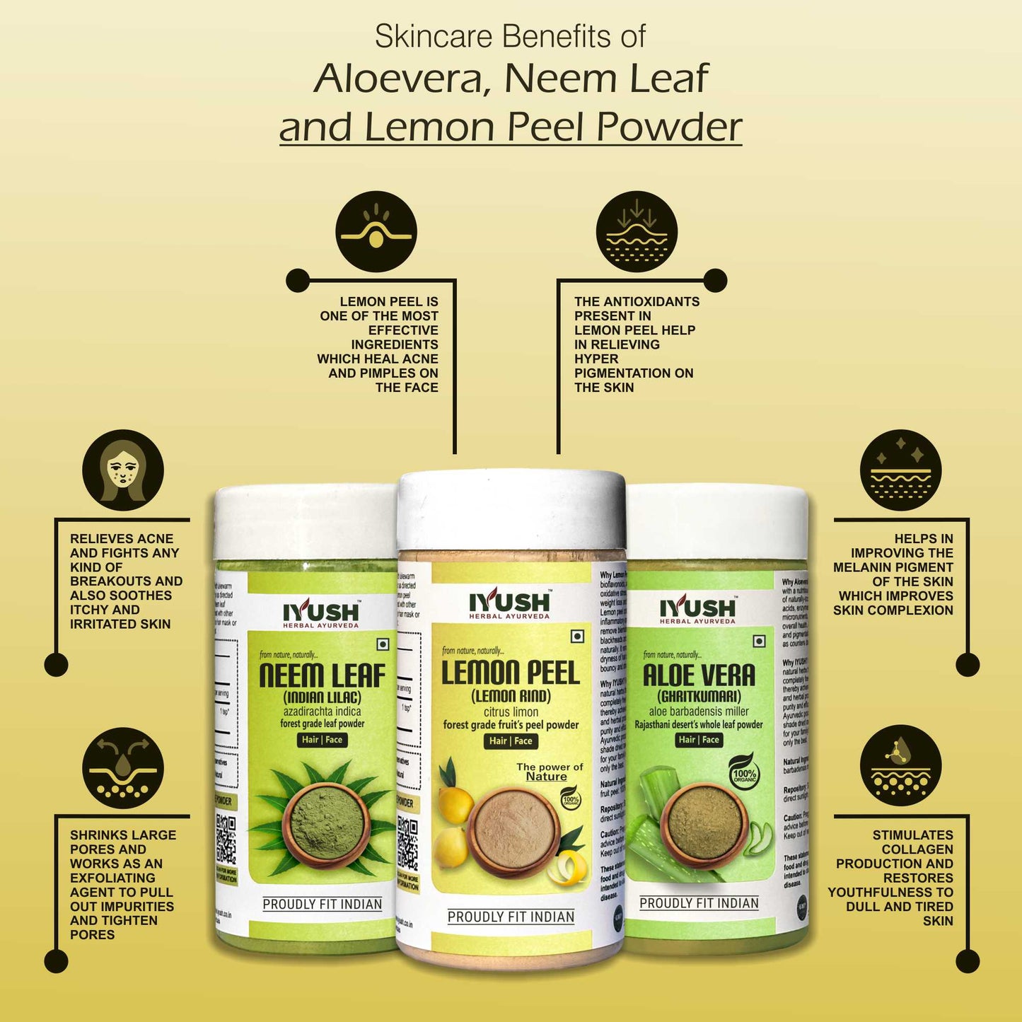 Premium Aloevera, Neem Leaf and Lemon Peel Powder for Holistic Skin and Hair Wellness – Pack of 3, 100gm Each