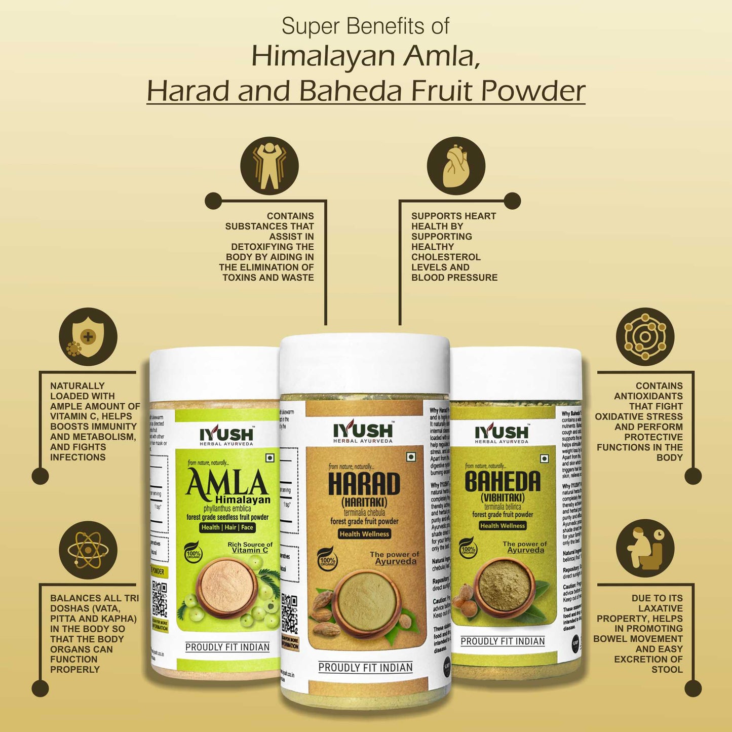 Himalayan Amla Fruit with Baheda and Harad Fruit Powder for Holistic Health Wellness - Pack of 3, 100gm Each