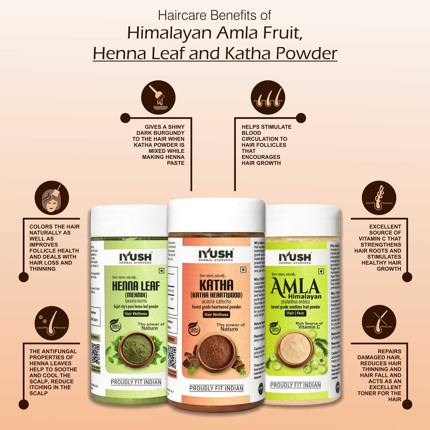 Himalayan Amla Fruit with Sojat City’s Pure Henna Leaf and Katha Powder for Holistic Hair Wellness – Pack of 3, 100gm Each