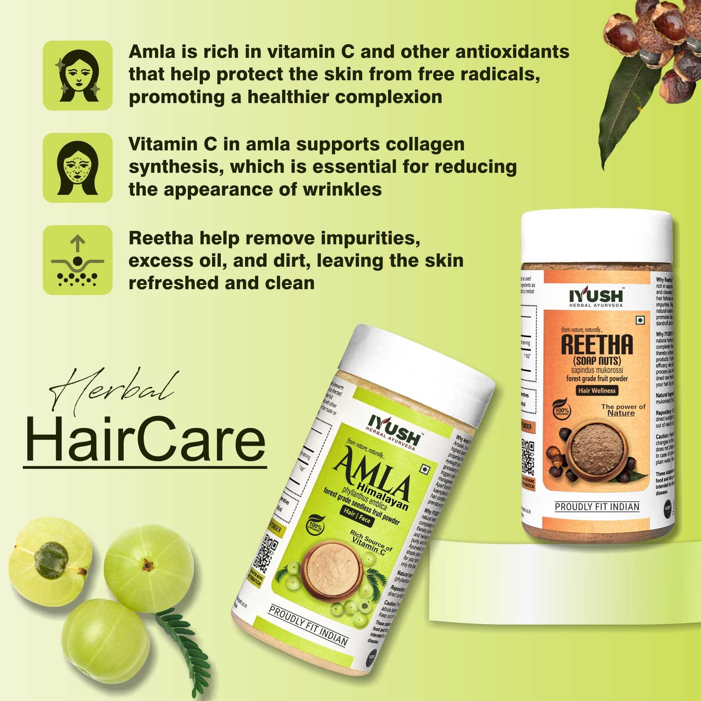 Premium Himalayan Amla Fruit and Reetha Fruit Powder for Holistic Hair Wellness – Pack of 2, 100gm Each