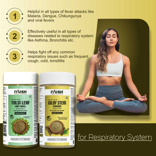 Premium Giloy Stem and Tulsi Leaf Powder for Holistic Health Wellness