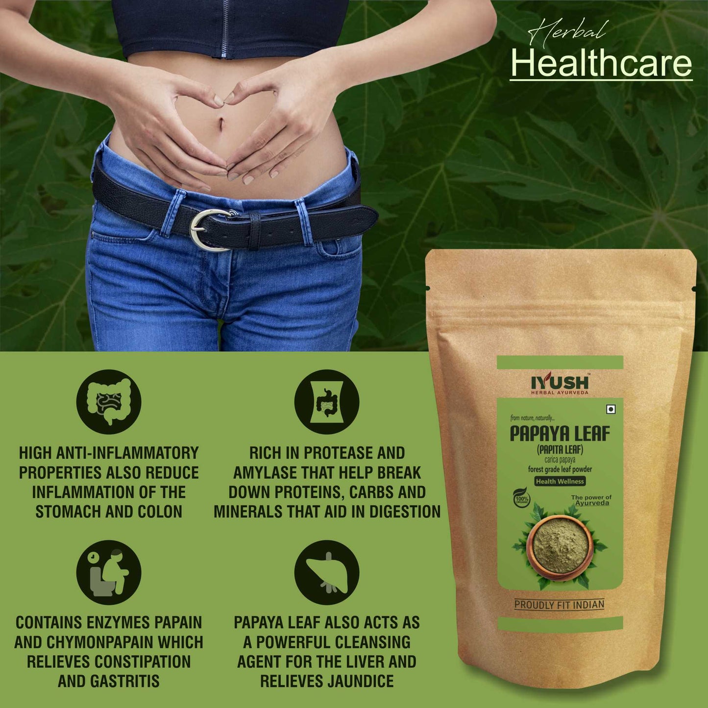 Pure Papaya Leaf Powder