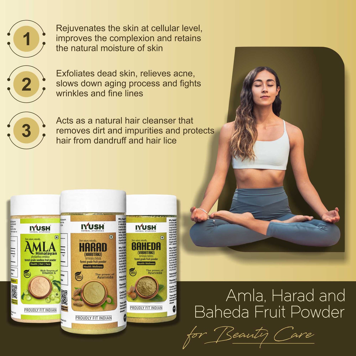 Himalayan Amla Fruit with Baheda and Harad Fruit Powder for Holistic Health Wellness - Pack of 3, 100gm Each