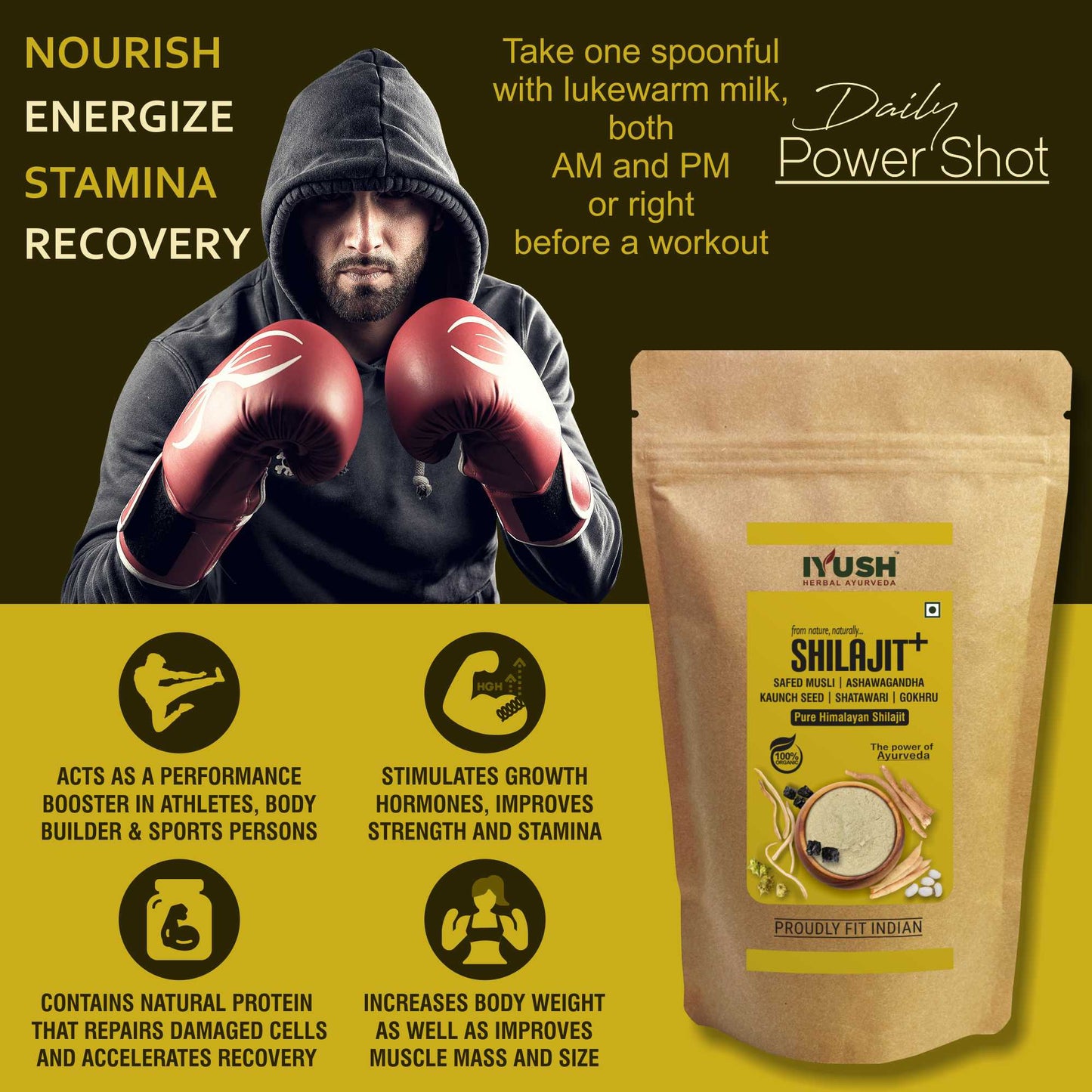 Shilajeet Powder