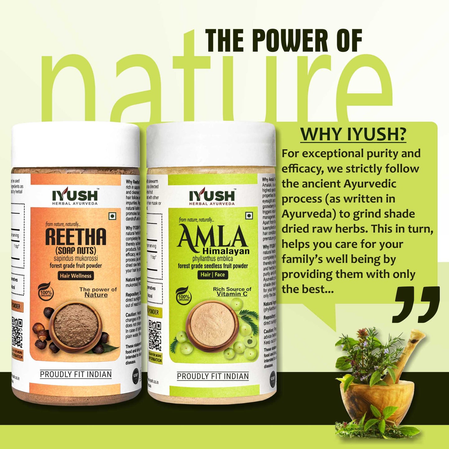 Premium Himalayan Amla Fruit and Reetha Fruit Powder for Holistic Hair Wellness – Pack of 2, 100gm Each