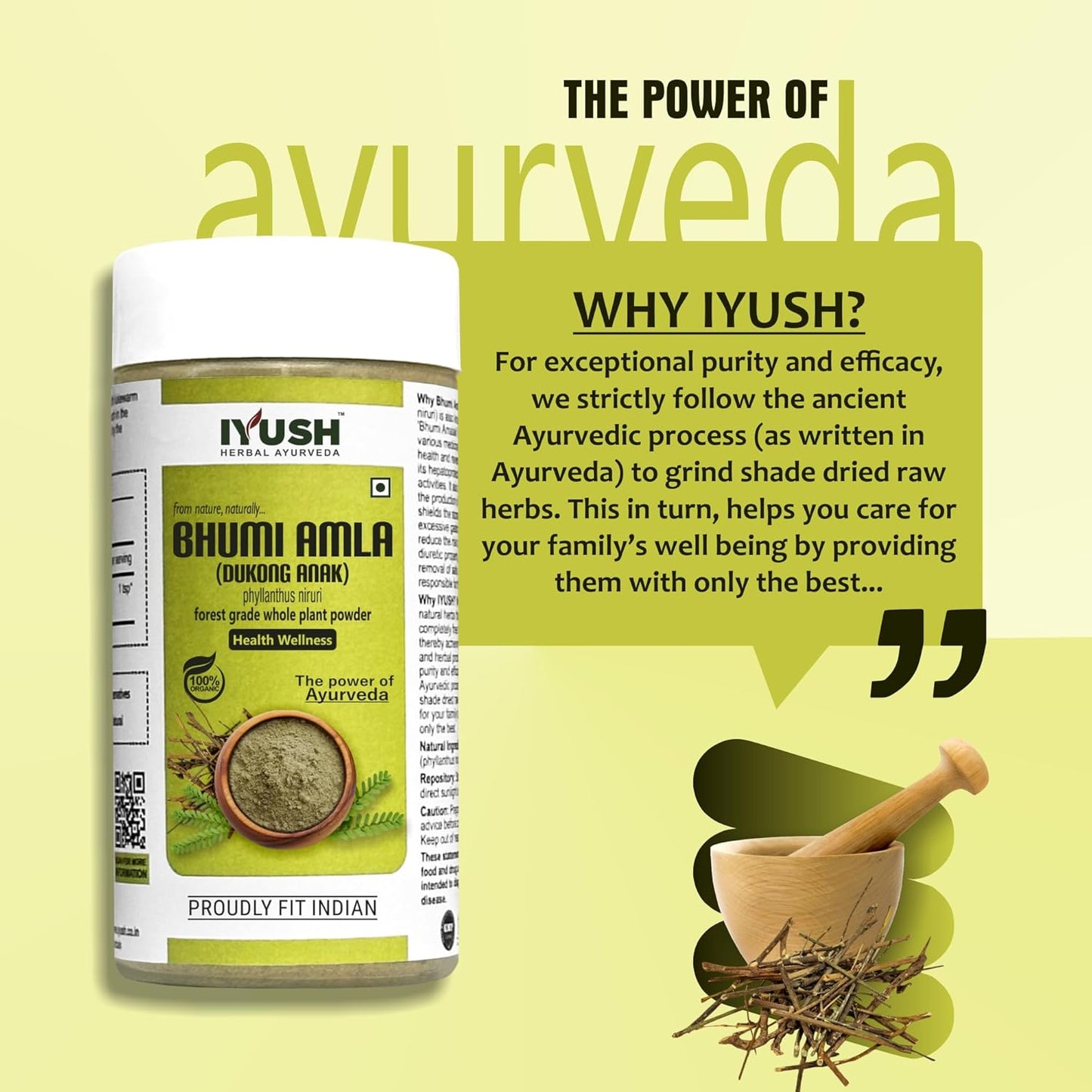 Bhumi Amla Powder