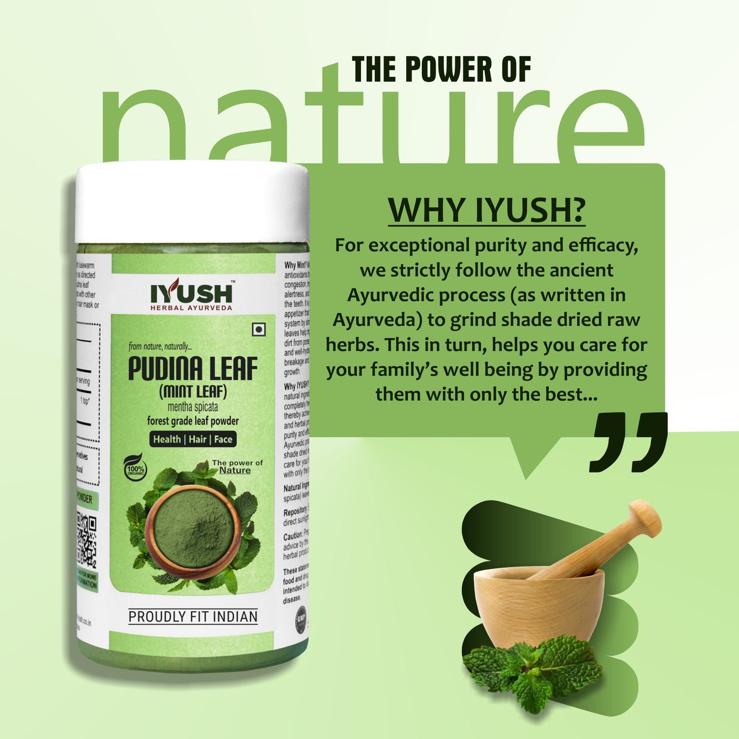 Pure Pudina Leaf Powder