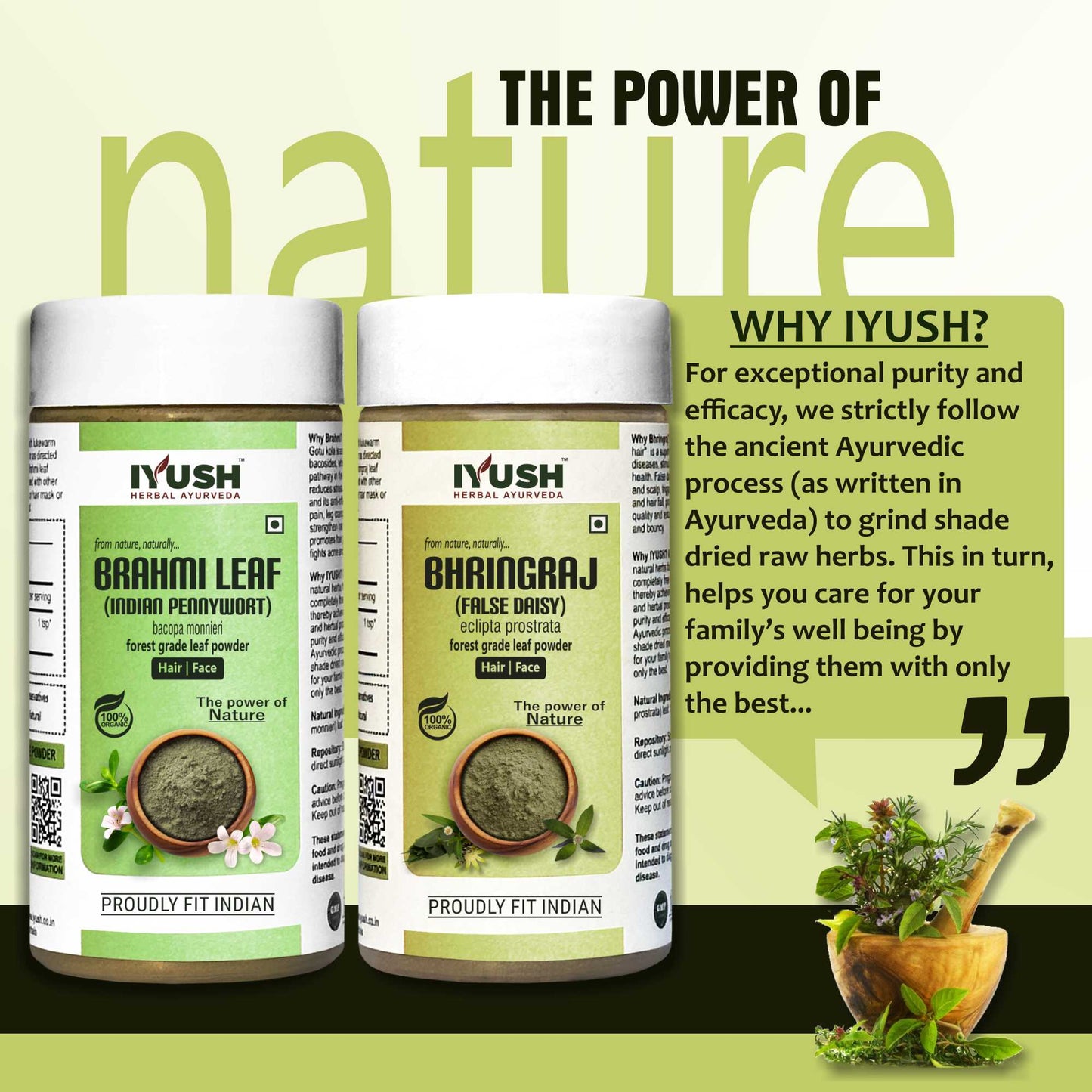 Premium Brahmi and Bhringraj Powder for Holistic Hair and Skin Wellness – Pack of 2, 100gm Each