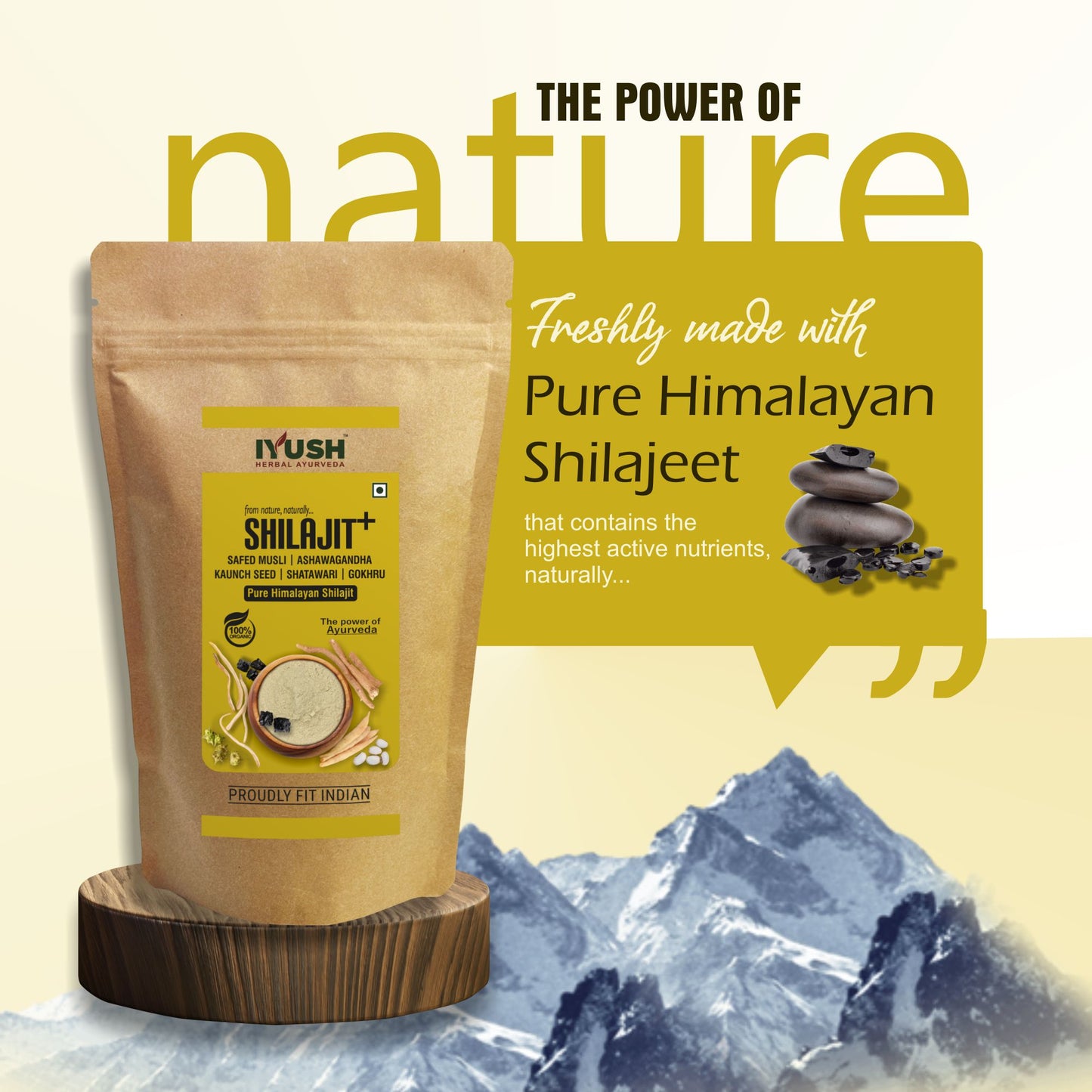 Shilajeet Powder