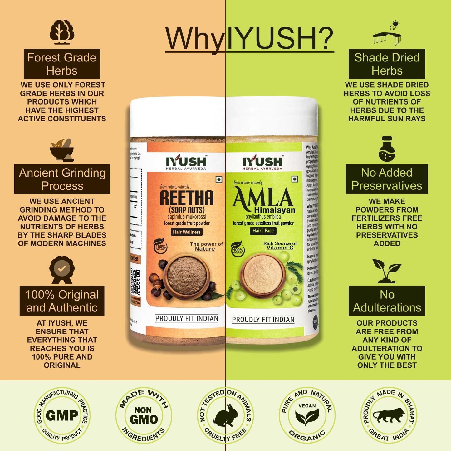 Premium Himalayan Amla Fruit and Reetha Fruit Powder for Holistic Hair Wellness – Pack of 2, 100gm Each
