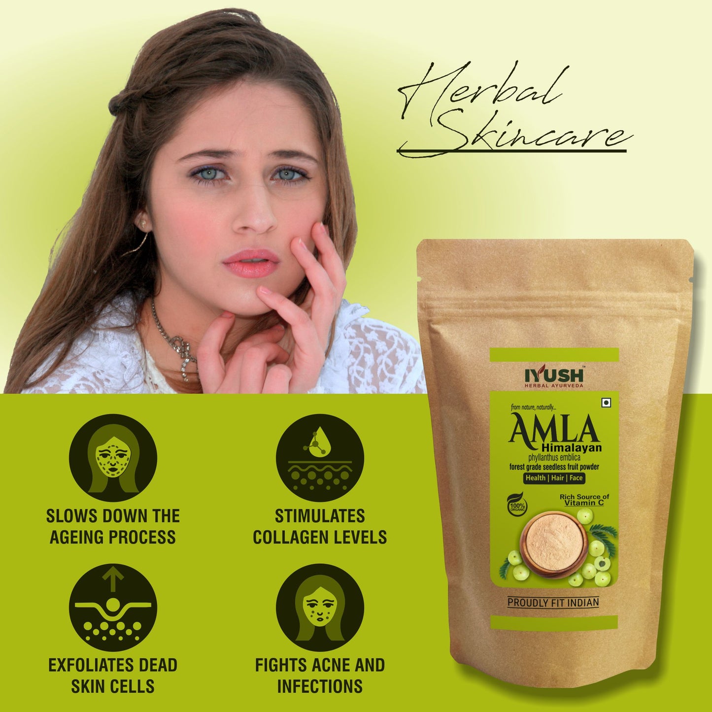 Pure Himalayan Amla Fruit Powder