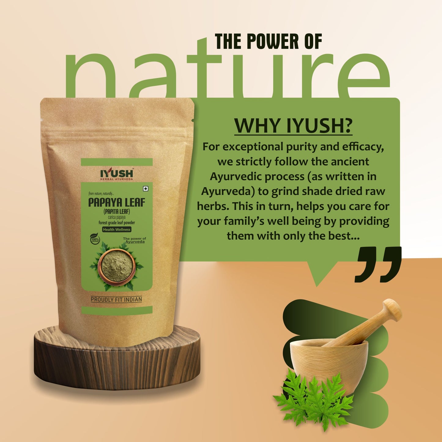 Pure Papaya Leaf Powder