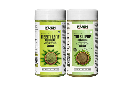 Premium Tulsi and Neem Leaf Powder for Holistic Health Wellness – Pack of 2, 100gm Each